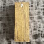 Arizona Ironwood