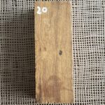Arizona Ironwood