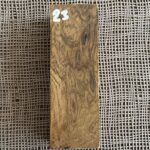 Arizona Ironwood