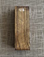 Arizona Ironwood
