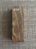Arizona Ironwood