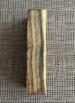 Arizona Ironwood - Image 3